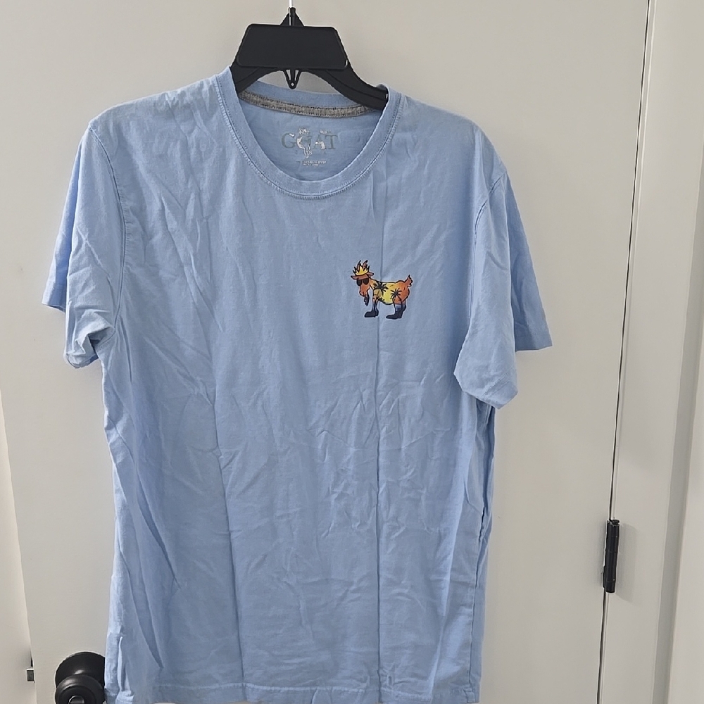 Light Blue Graphic T-Shirt